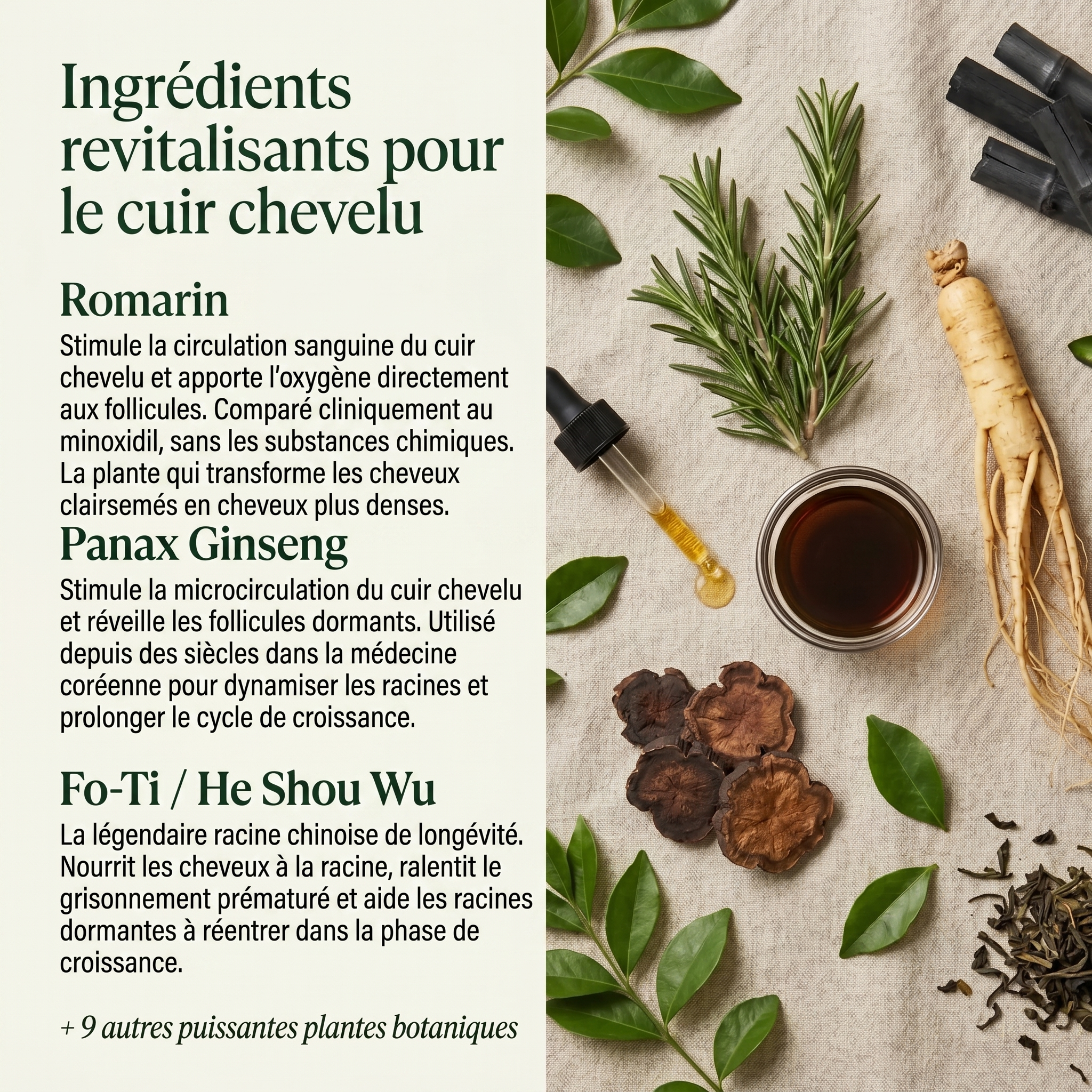 Soin Revitalisant Coréen pour le Cuir Chevelu