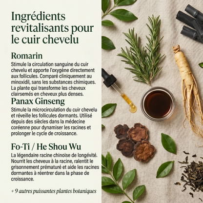 Soin Revitalisant Coréen pour le Cuir Chevelu